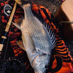 ヘチってきました