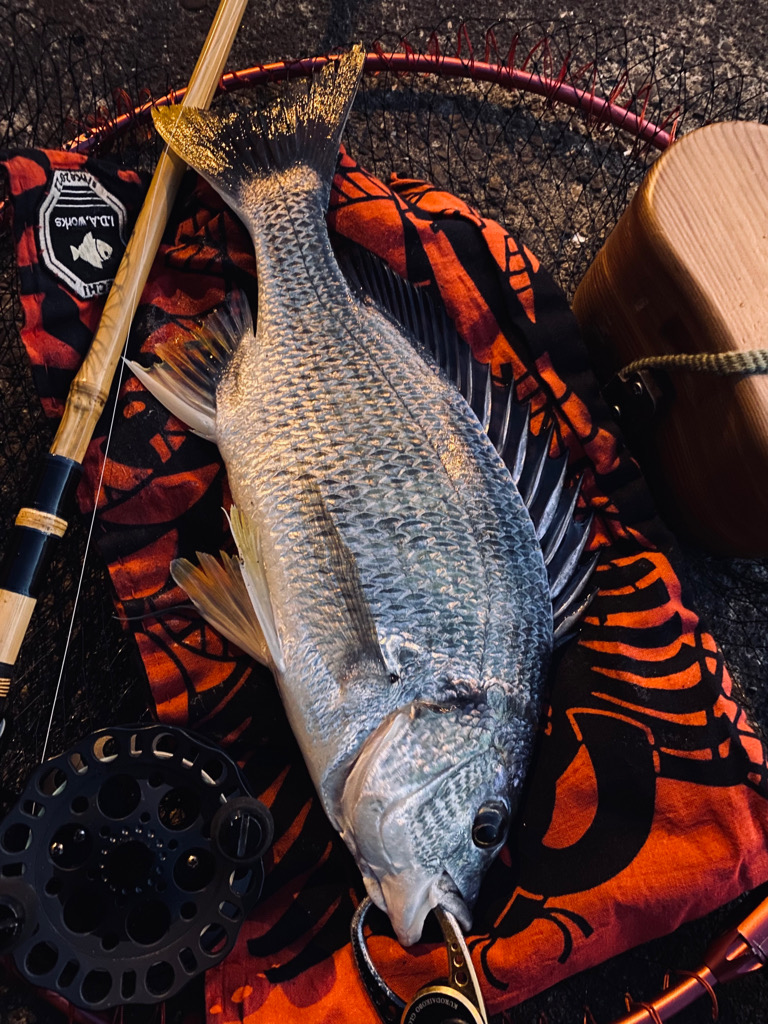 ヘチってきました