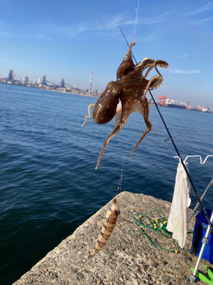 東二見〜赤灯台釣行!