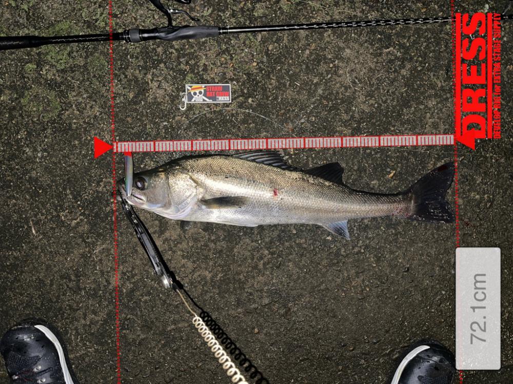 秋のドリフトは正義!