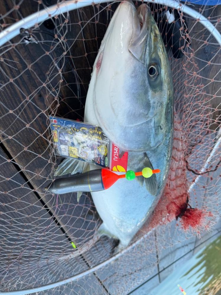 水宝さんで爆釣