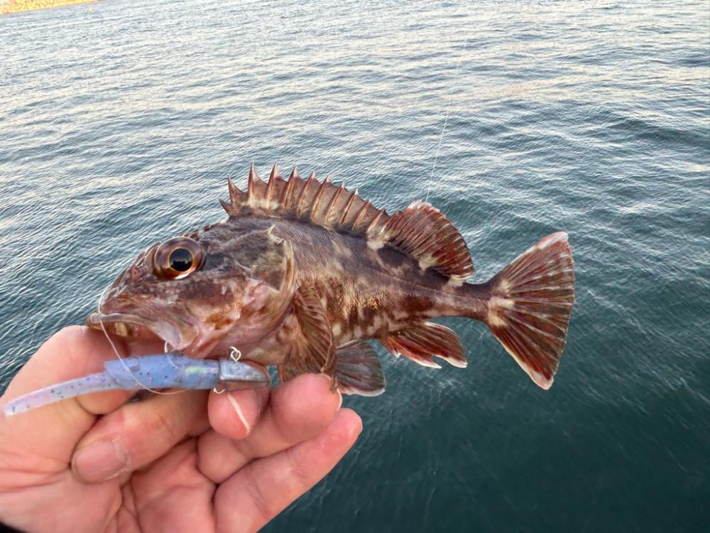 刀狩りに行ったのに・・・