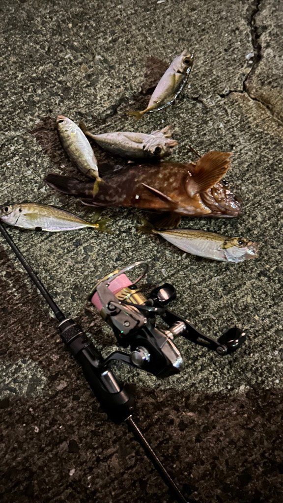 不調の中の癒し