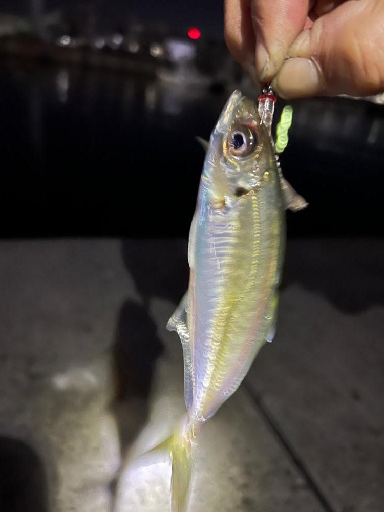 休日出勤からの