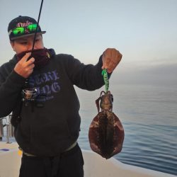 ラストティップラン