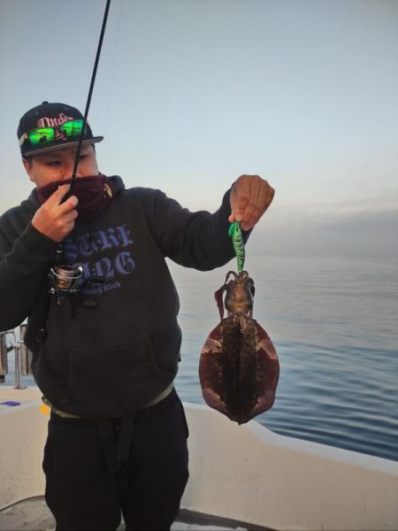 ラストティップラン