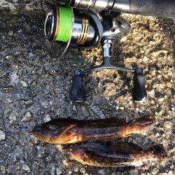 もう冬の海ですか？まったり胴突き