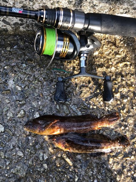 もう冬の海ですか？まったり胴突き