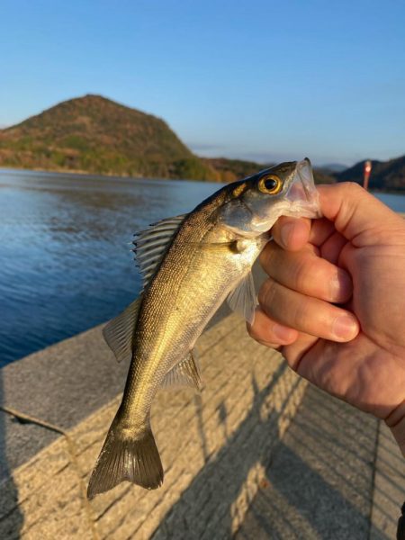 超短時間ライトゲーム・初場所