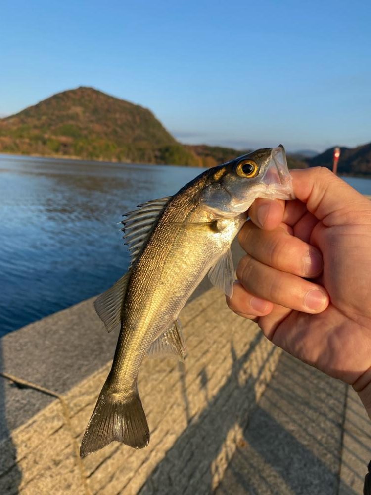 超短時間ライトゲーム・初場所