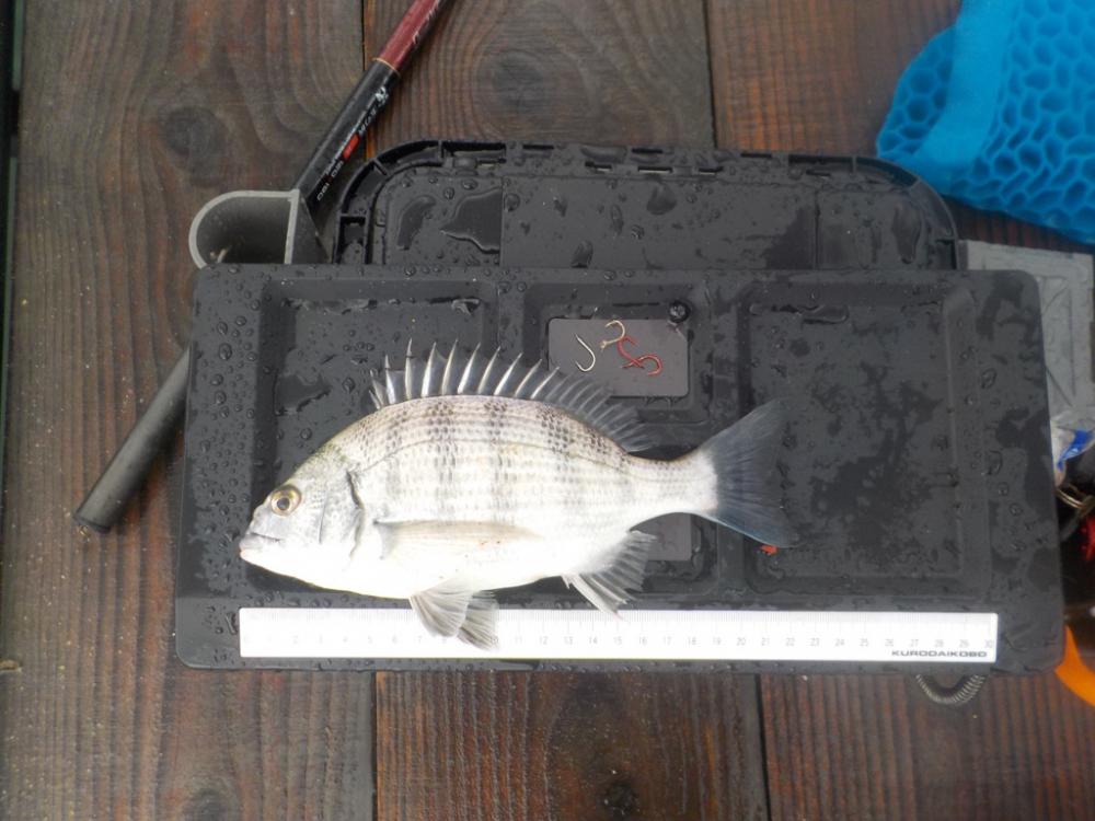 筏かかり釣り第2 戦〜たかし丸〜