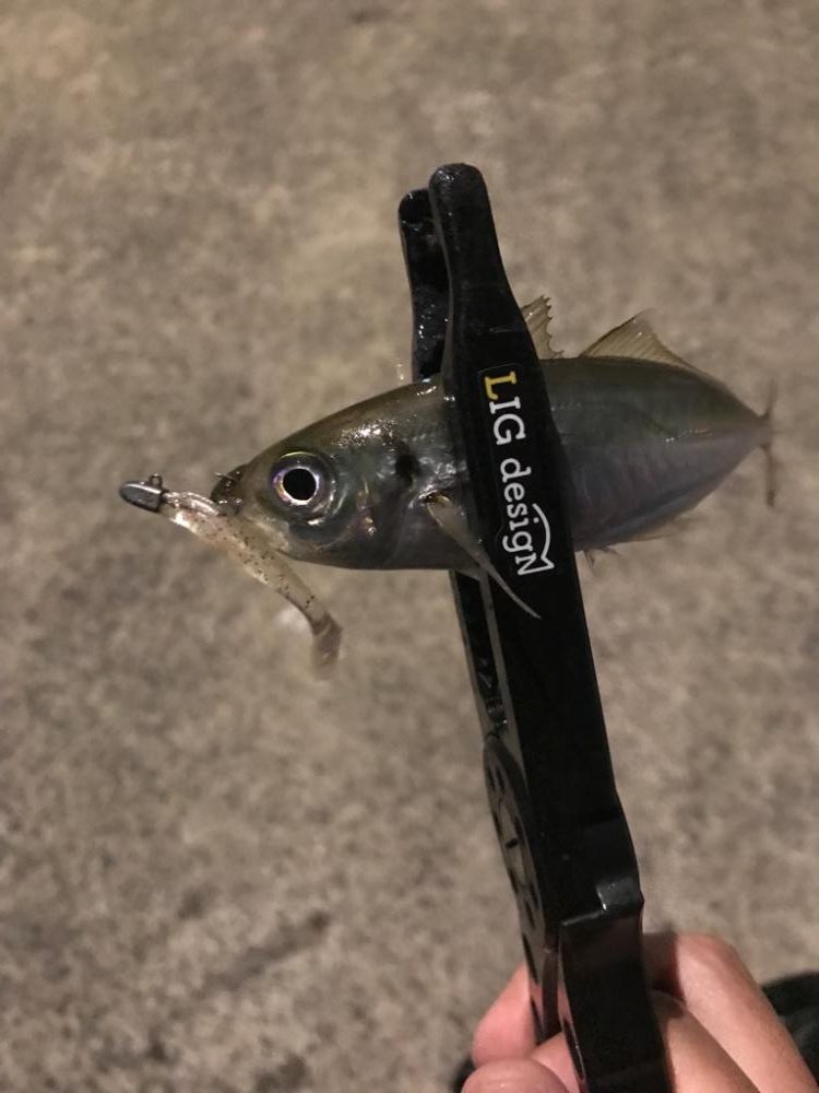 仕事終わりにPart2