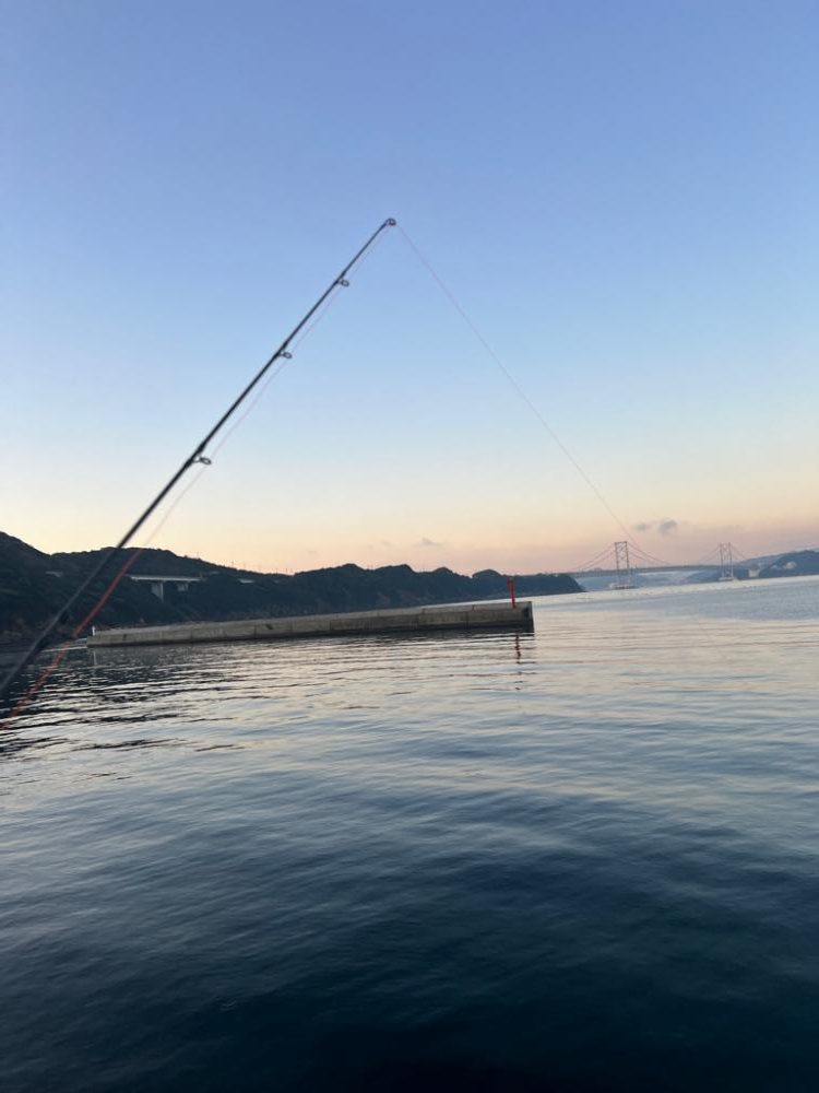 ノマセ釣りでハマチ！