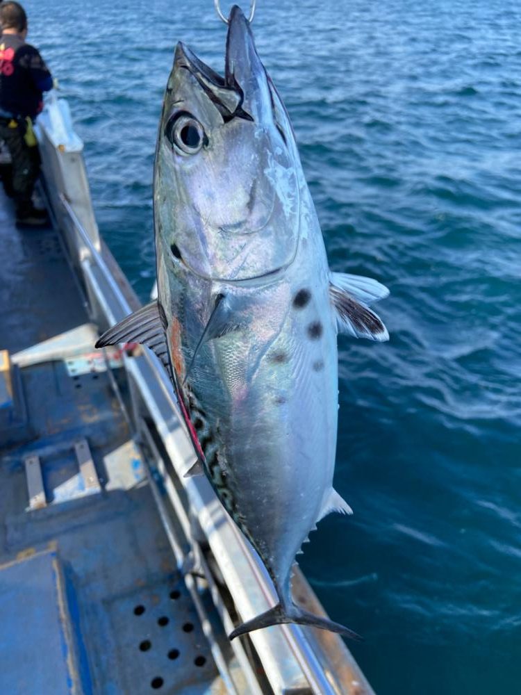 泰斗丸でシオジギング