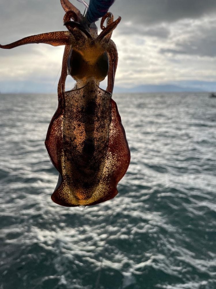 久々の大潮ゲーム