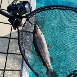 2023かめプーオープン