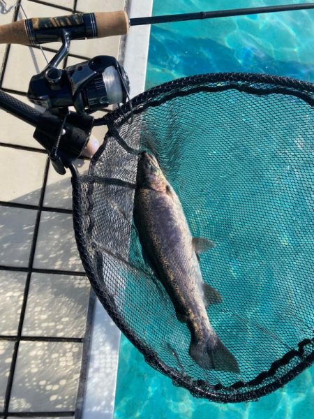 2023かめプーオープン