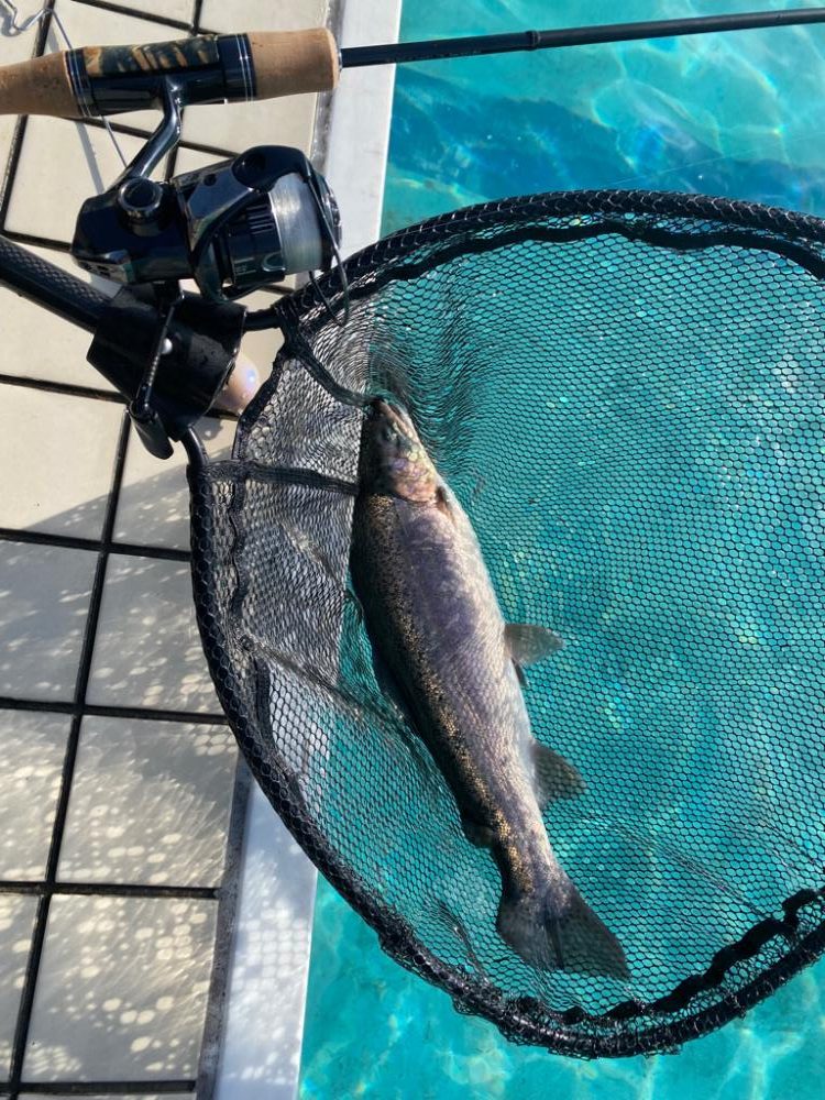 2023かめプーオープン