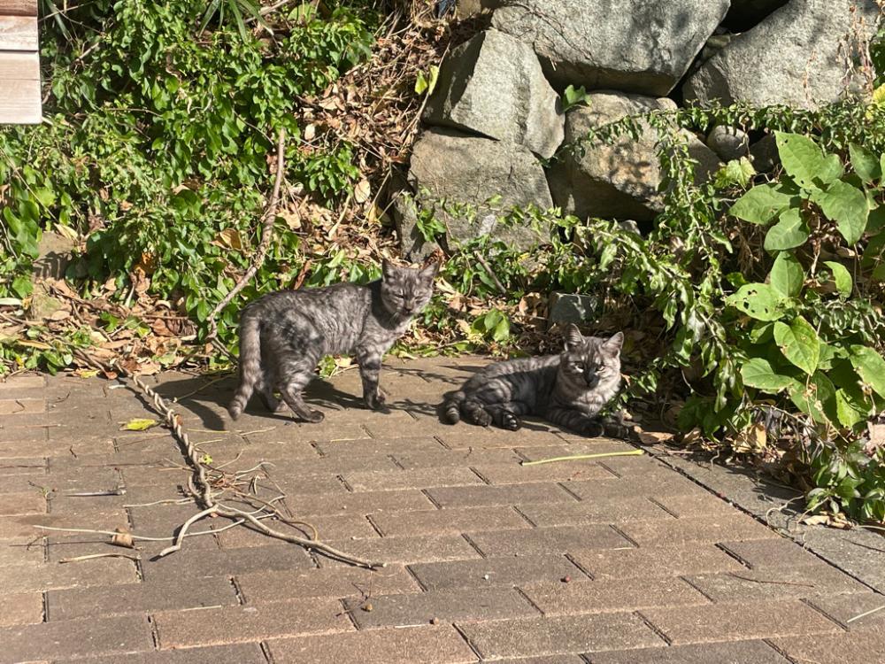 いざライトショアジギング!