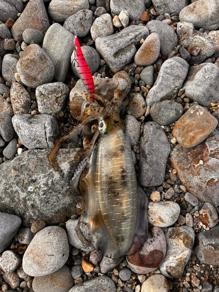 なんだか活性高め⁉︎