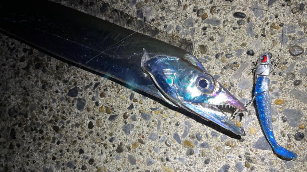 ランカーと五目