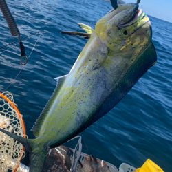 アマダイを求めてボート釣行