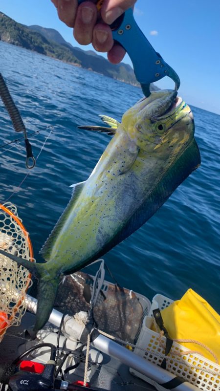 アマダイを求めてボート釣行