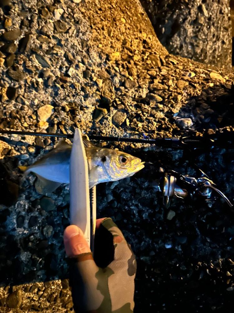 ジグ単アジング