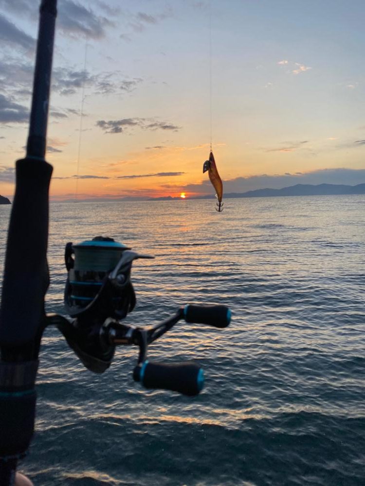 ３号エギにエギサイズが・・・