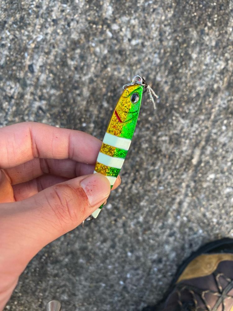 ショアジギング ハマチ