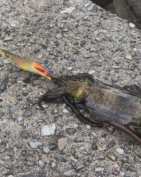 大雨からの爆風
