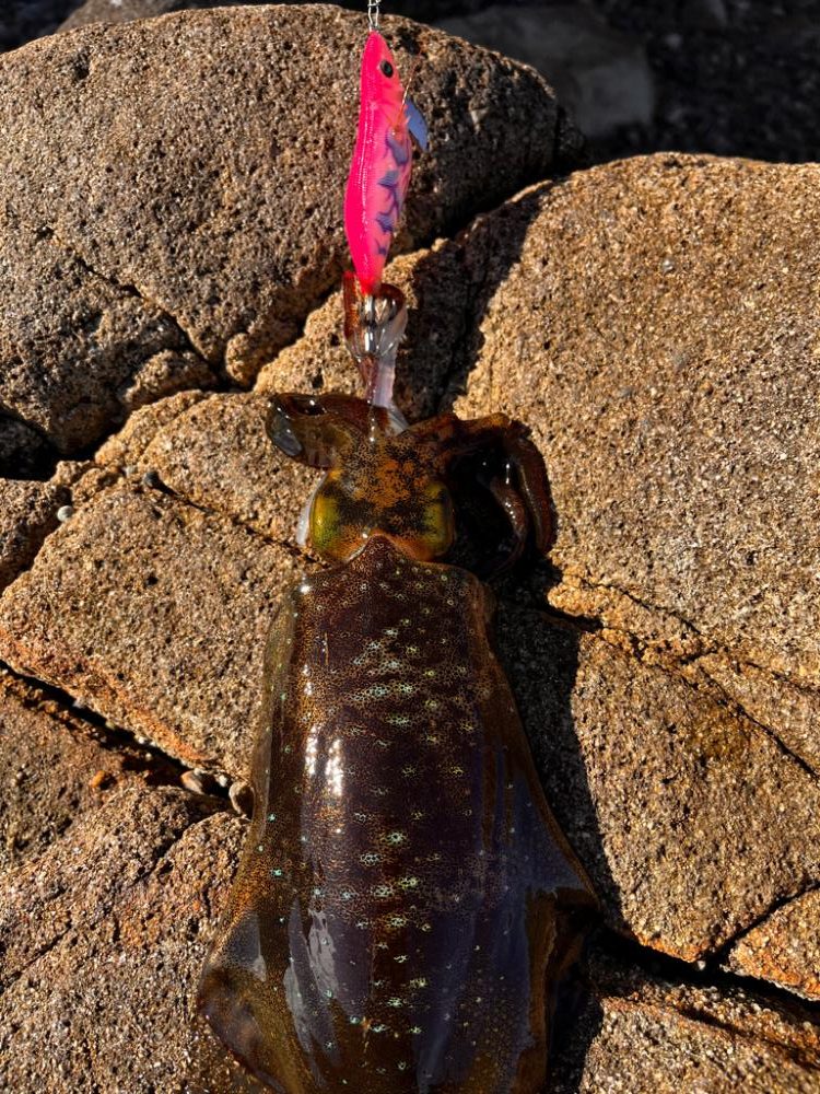 風があるので…