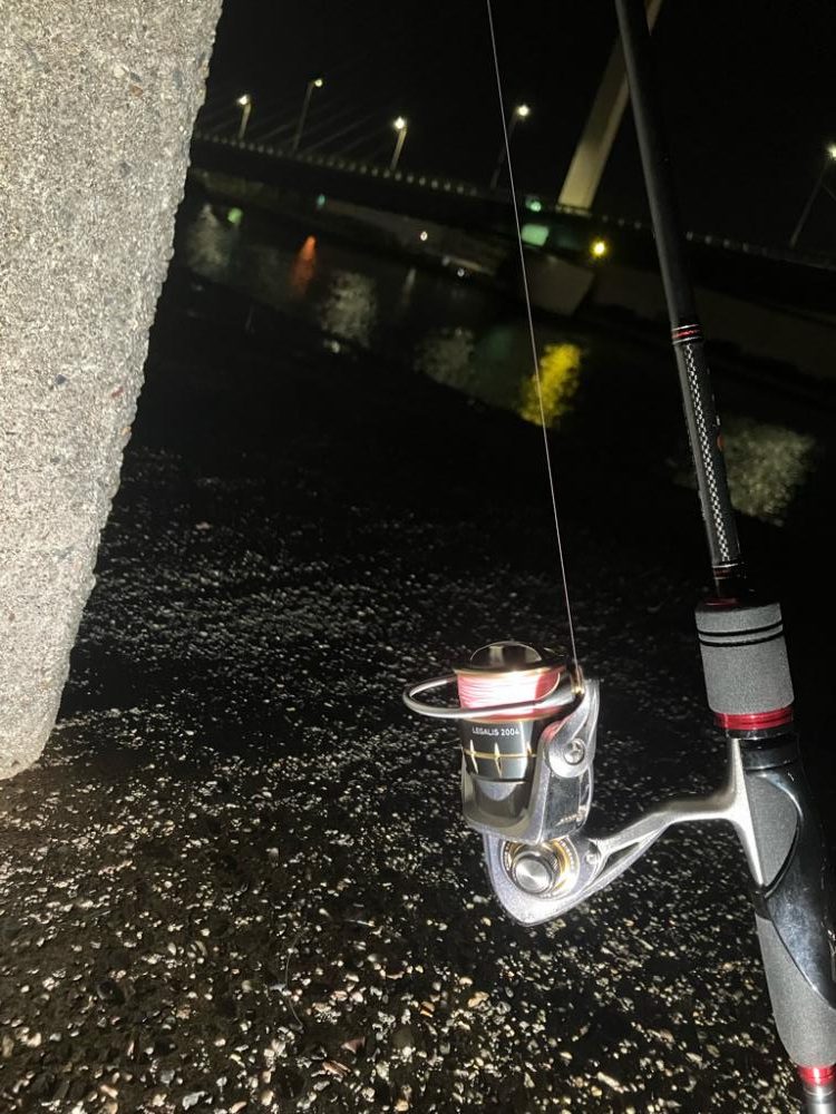 アジングでチーバス