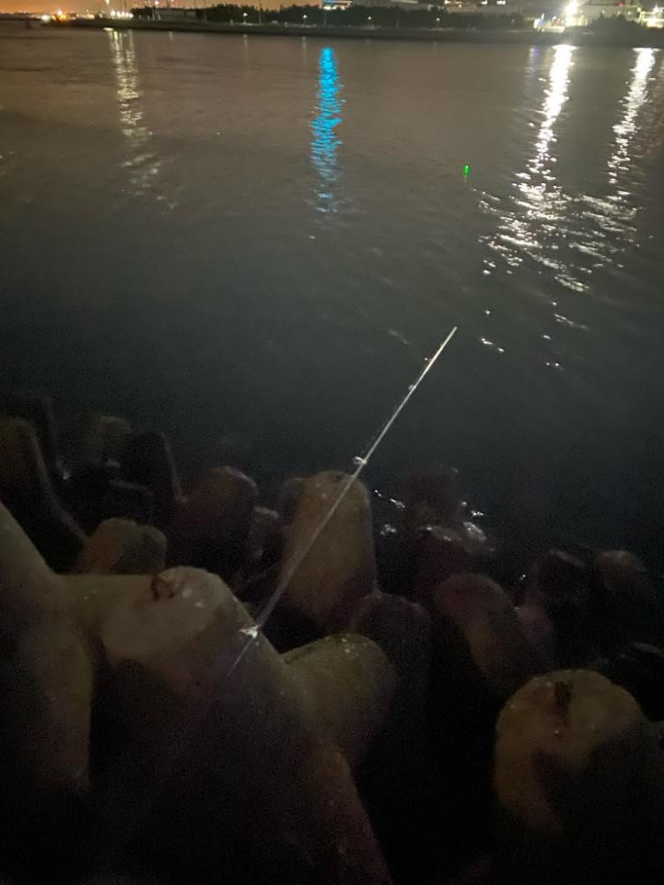 あたりは多いが