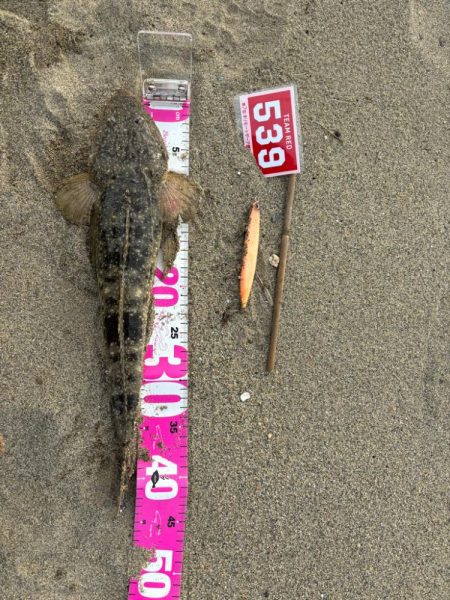 ダイワサーフショアジギング試投会&…