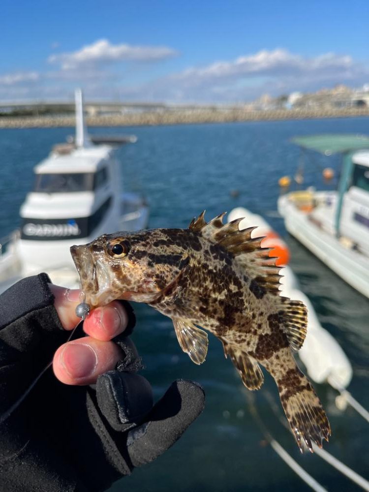 30分デイゲーム