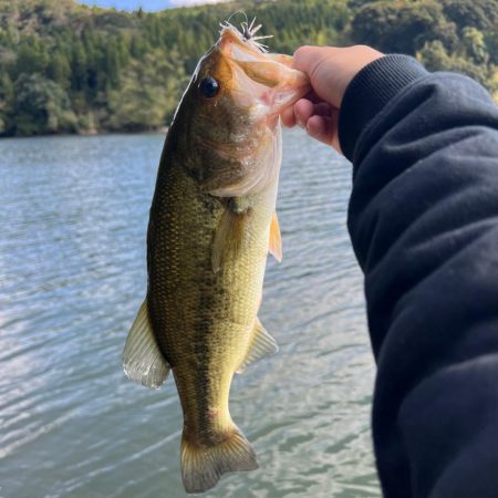 ホームレイクは渋い