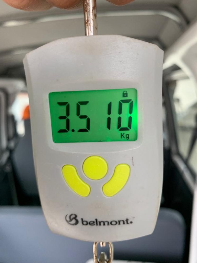 ニュータックル鱗付け