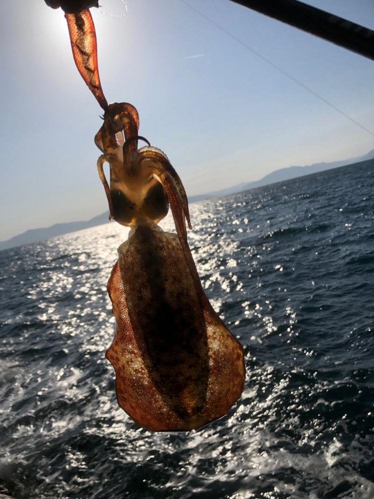 大潮に誘われて