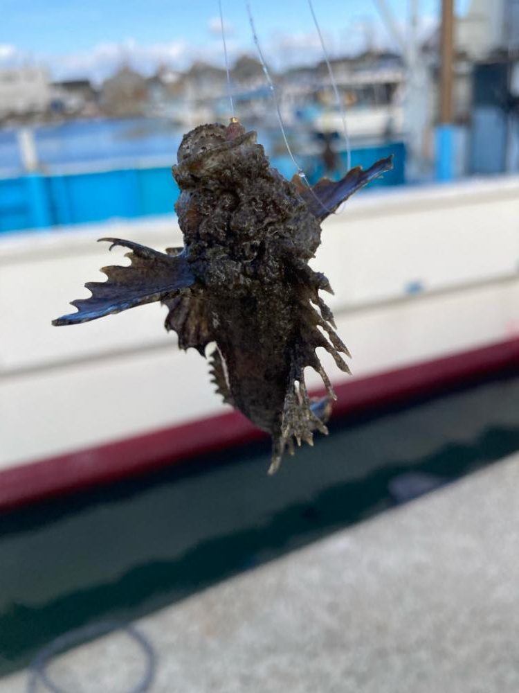 江井ヶ島釣行！