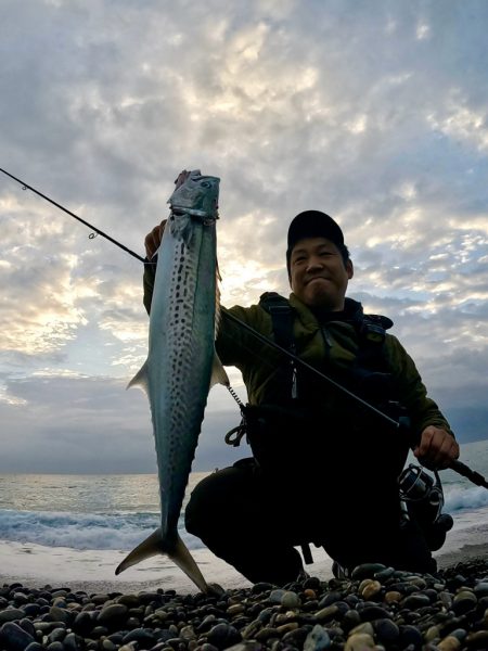 ジャックアイTGスイムでサゴシ