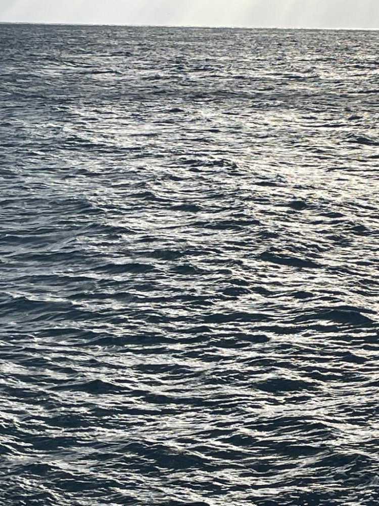 2023 佐渡ヶ島エギング 52回目【11月11日】