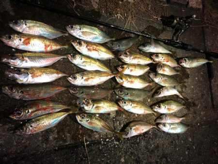 5時間耐久アジング