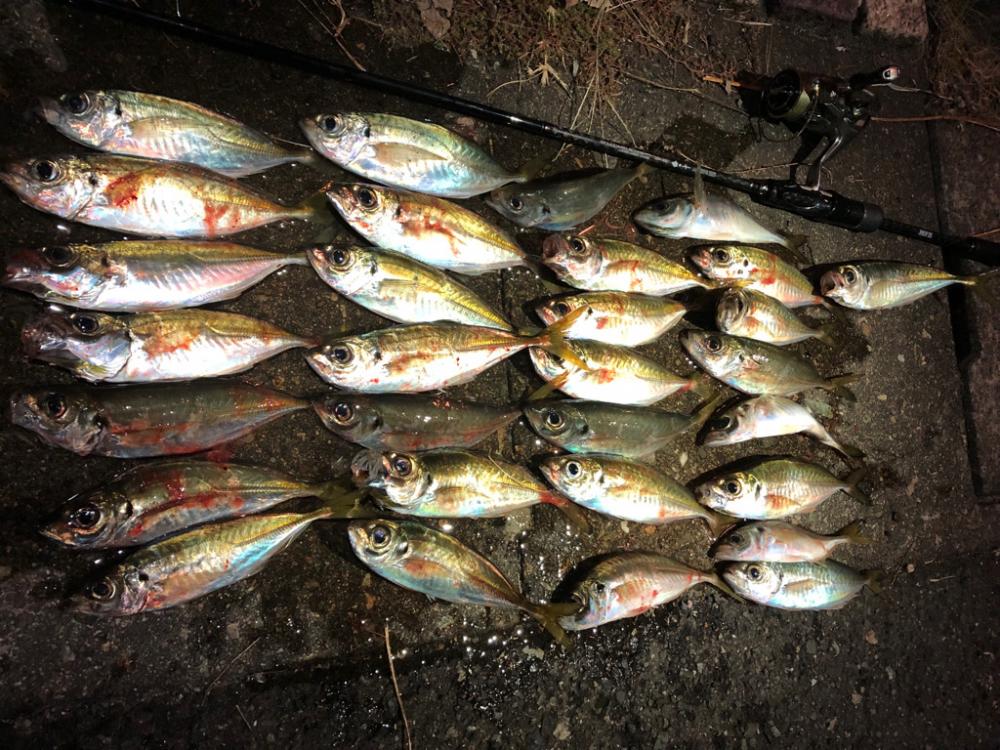 5時間耐久アジング