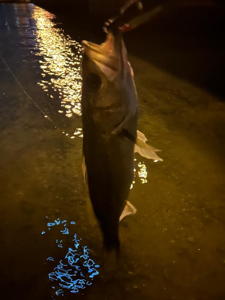 やっと秋爆を感じた