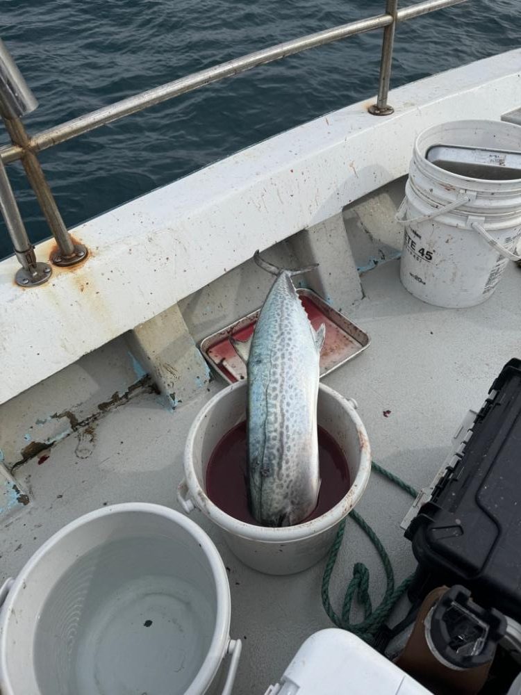 今シーズン初ジギング