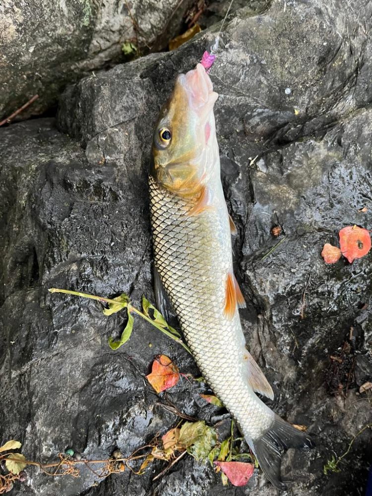 琵琶湖、朝の散歩