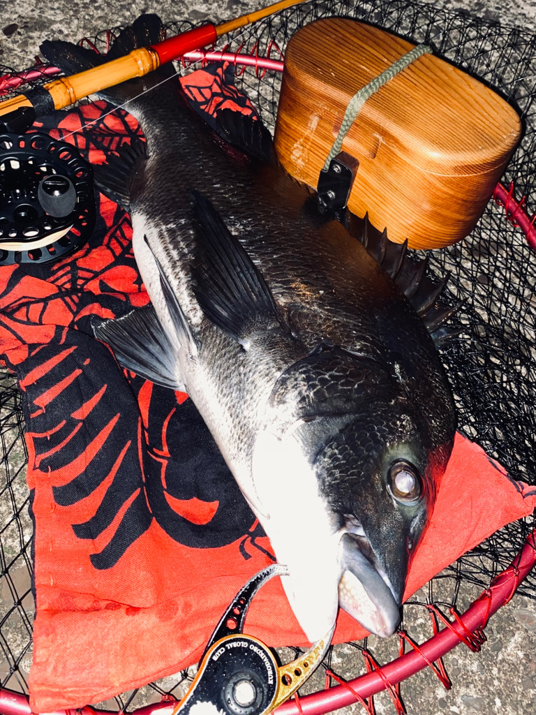 ヘチってきました