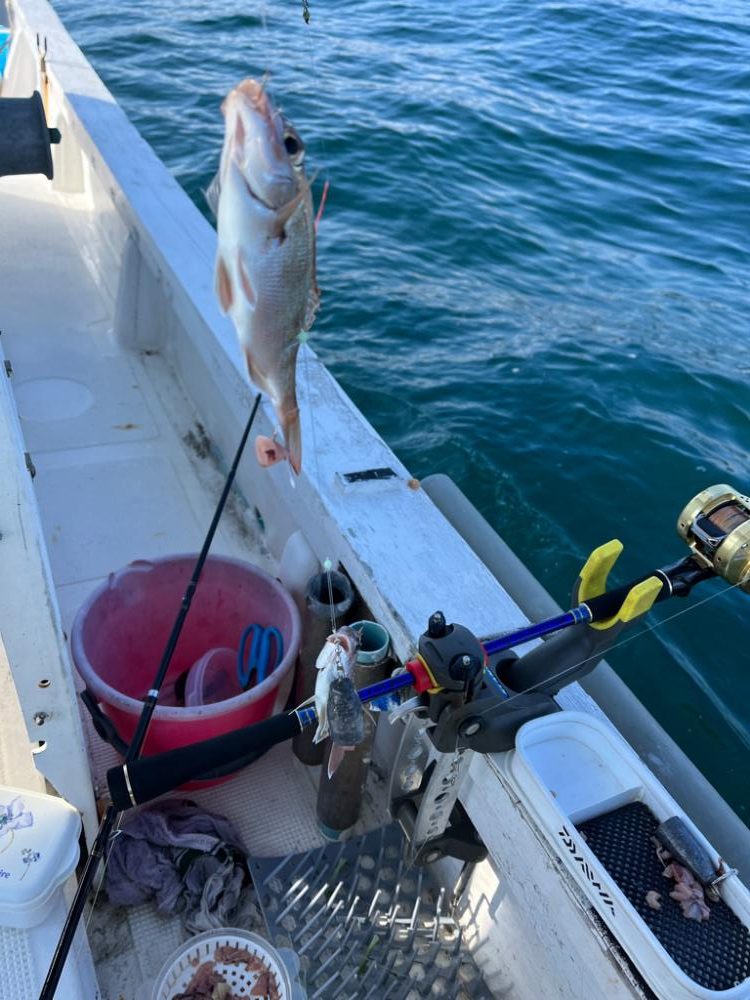 タチウオとカワハギ