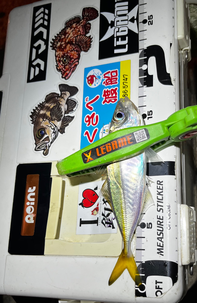 数釣りアジング>* ))))><